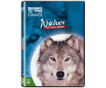 wolf documentary download torrents